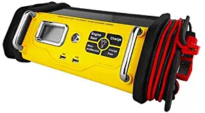 Best Stanley Battery Charger Alternator Check