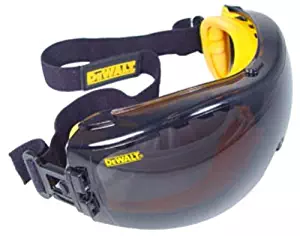 Best Dewalt Dpg82-21C