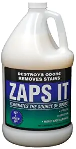 Best What Gets Dog Urine Smell Out Of Carpet