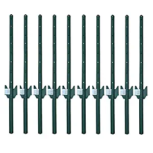 Best Garden Stakes 3 Ft