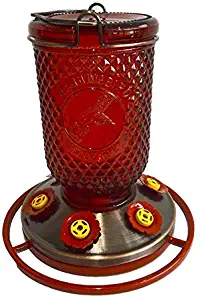 Best Canning Jar Bird Feeder
