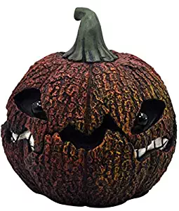 Best Moonrays Garden Stake Lights