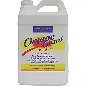 Best Flea Killer For Home Safe For Kids