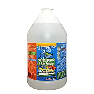 Best Homemade Carpet Shampoo For Rug Doctor