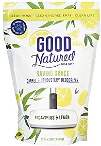 Best Organic Carpet Cleaning Products