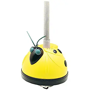 Best Dolphin Swimming Pool Vacuum