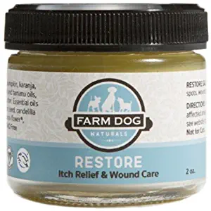 Best Natural Flea Remedies For Carpet