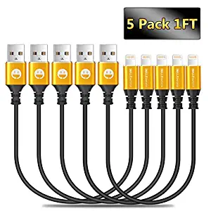 Best Lighting Cable 12′