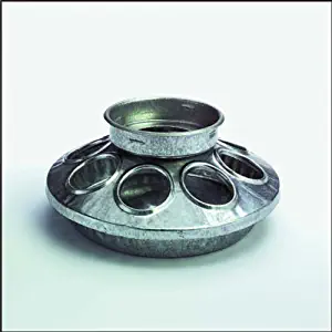 Best Canning Jar Bird Feeder