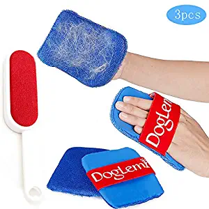Best Pet Hair Sweeper Pledge