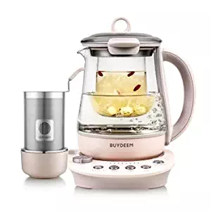 Best Pennys Electric Tea Kettle