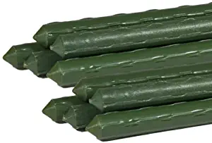 Best 8 Foot Garden Stakes