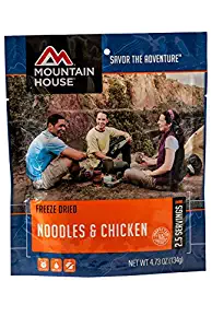 Best Can You Freeze Casseroles With Noodles