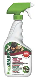 Best Flea Killer For Home Safe For Kids