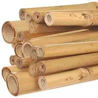 Best 8 Foot Garden Stakes