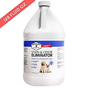 Best How To Get Rid Of Pet Stains In Carpet