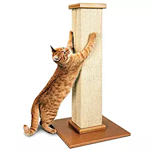 Best Tall Carpet Scratching Post