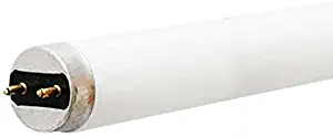 Best 48 Inch Ge Flourescent Light Bulbs