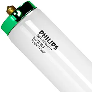 Best 48 Inch Ge Flourescent Light Bulbs
