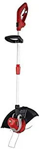 Best Craftsman Professional Weed Wacker