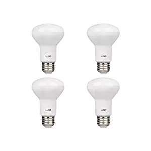 Best Ge Led Flood 45W Equivalent