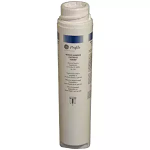 Best Ge Water Filter Cartridge Fx12p