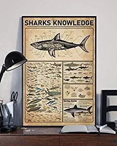 Shark Anatomy Knowledge poster 16x24 inches