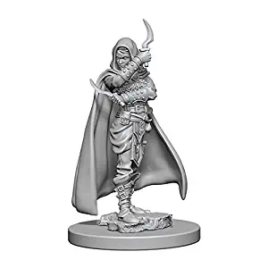 WizKids Pathfinder Deep Cuts Unpainted Miniature: Human Female Rogue