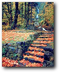 Waterfall And Fallen Autumn Leaves On Steps Scenery Nature Wall Decor Art Print Poster (16x20)