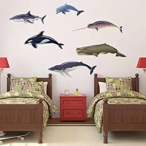 Whales Dolphin And Shark Wall Decal By Style & Apply - Wall Sticker, Vinyl Wall Art, Home Decor, Wall Mural - Sd4058-24X13