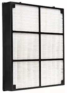 Hamilton Beach 04912 TrueAir HEPA Replacement Filter for 04160 & 04161 Air Cleaners