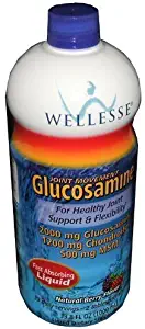 Wellesse Joint Movement Glucosamine With Chondroitin & Msm GreatItems 2Pack (33.8 fl oz )