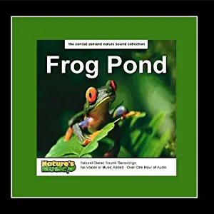 Frog Pond - Nature Recordings and Sounds of Frogs