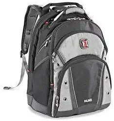 Swiss gear Synergy Pro Laptop BackPack