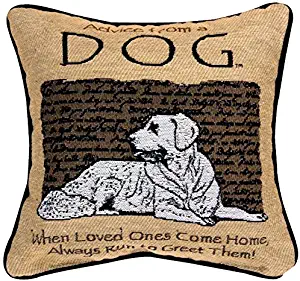 Manual Pet Lover Collection Reversible Throw Pillow, 12.5 X 12.5-Inch, Advice from a Dog X Your True Nature