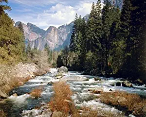 Wall Decor Yosemite Merced River National Park Scenery Landscape Art Print Poster (16x20)