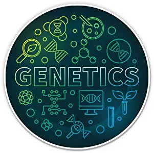 GT Graphics Express Genetics Biology DNA Science - 5" Vinyl Sticker - for Car Laptop I-Pad - Waterproof Decal