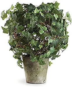 Napa Home & Garden Ivy Ball 30" H Topiary Potted