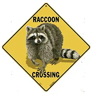 CROSSWALKS Raccoon Crossing 12" X 12" Aluminum Sign (X426)