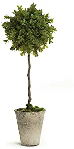 Napa Home & Garden BB Faux Boxwood 19